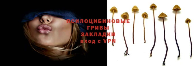 марки lsd Верея
