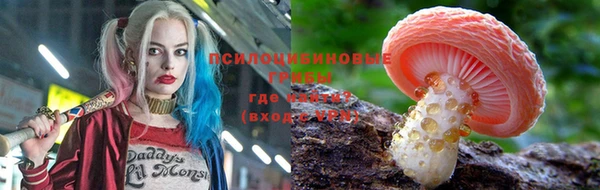 твердый Верхний Тагил
