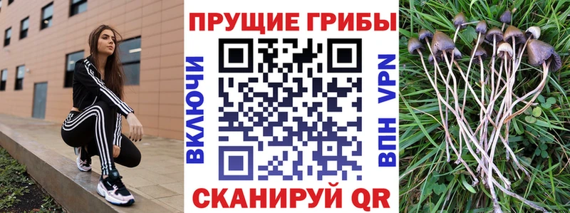 ОМГ ОМГ ONION  Малаховка  Псилоцибиновые грибы Magic Shrooms 