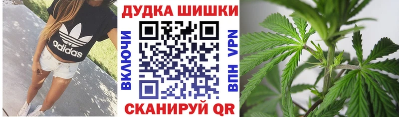 Канабис OG Kush  Малаховка 